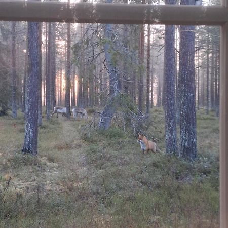 Ferienwohnung Yllaes Nilimaja Ylläsjärvi Exterior foto