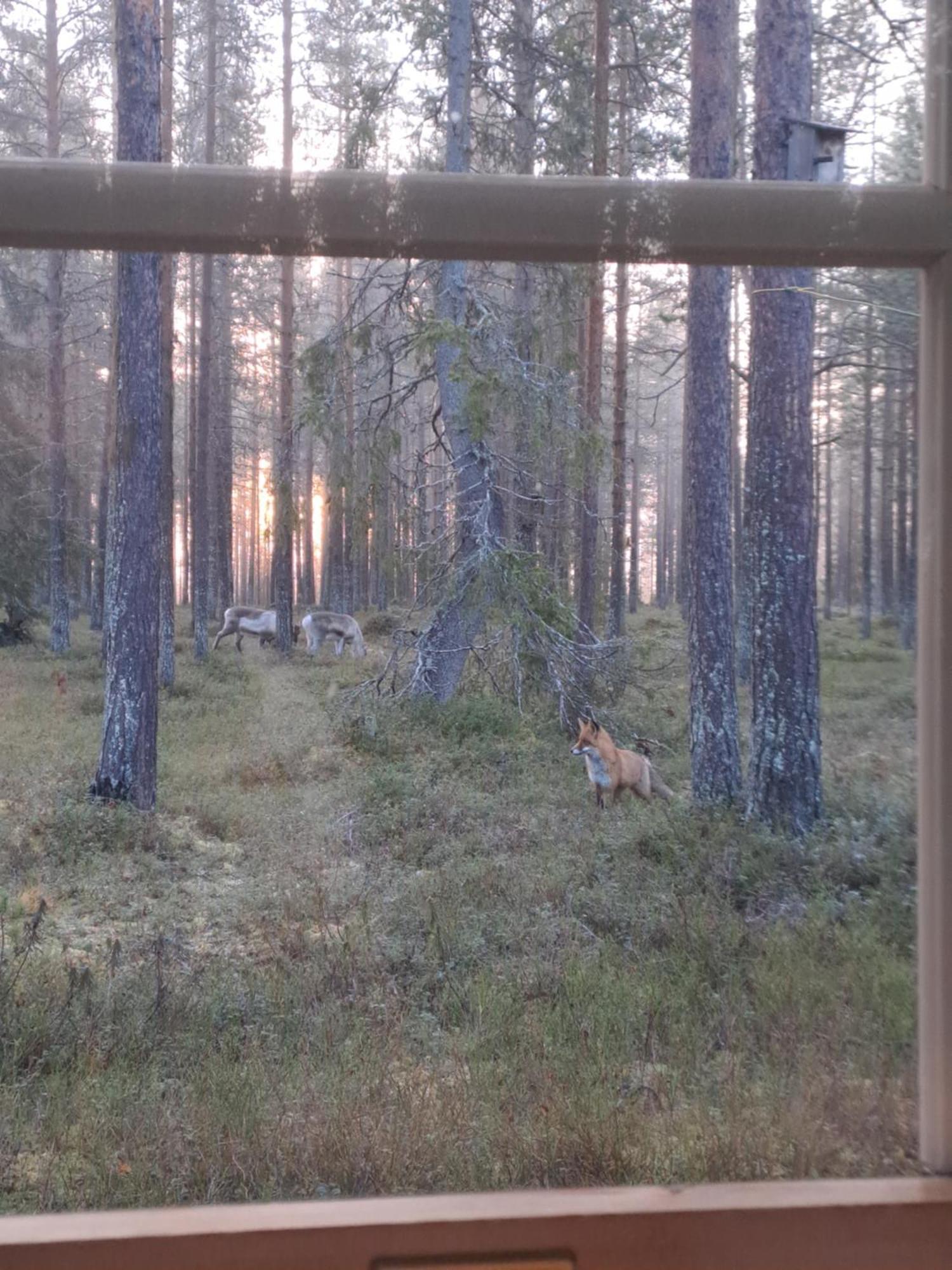 Ferienwohnung Yllaes Nilimaja Ylläsjärvi Exterior foto